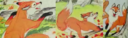 Detail The Fox