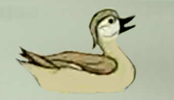Detail Mother Duck