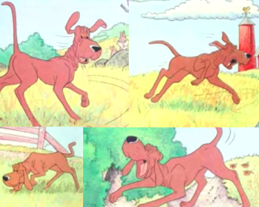 Detail The Dog