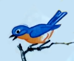 Detail The Bluebird