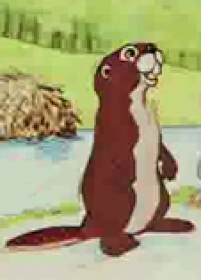 Detail The Young Beaver