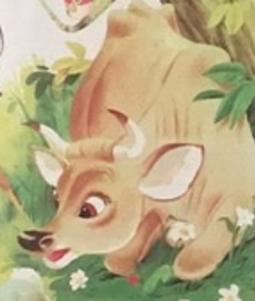 Detail Clara