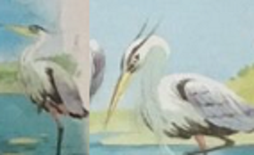 Detail Hetty 