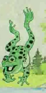 Detail Frog (Book)