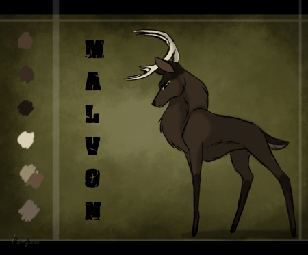 Detail Malvon