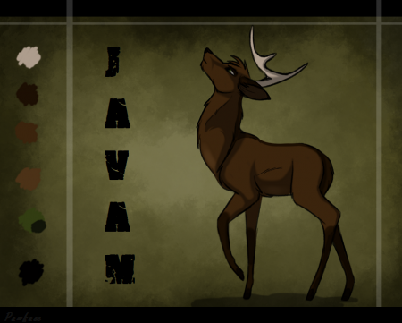 Detail Javam