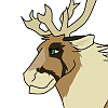 Donno (gruvu)