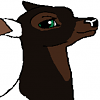 Tobiano