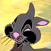 Bumper