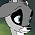 Raccoon