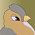 The Birds