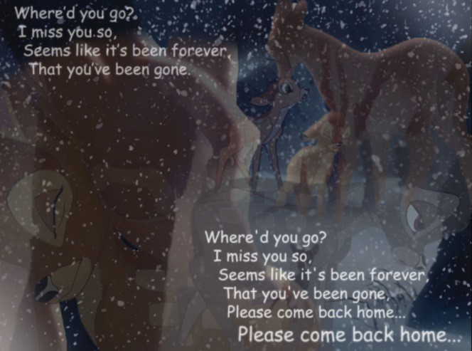 Where'd you go?