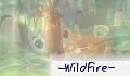 -WildFire-