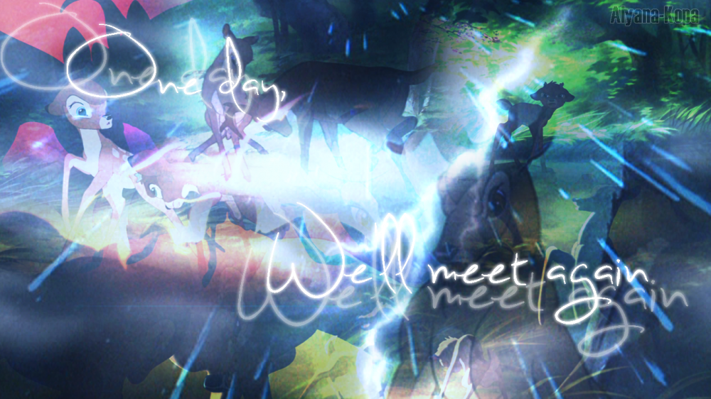 One Day, We'll Meet Again