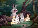 Thumper's family