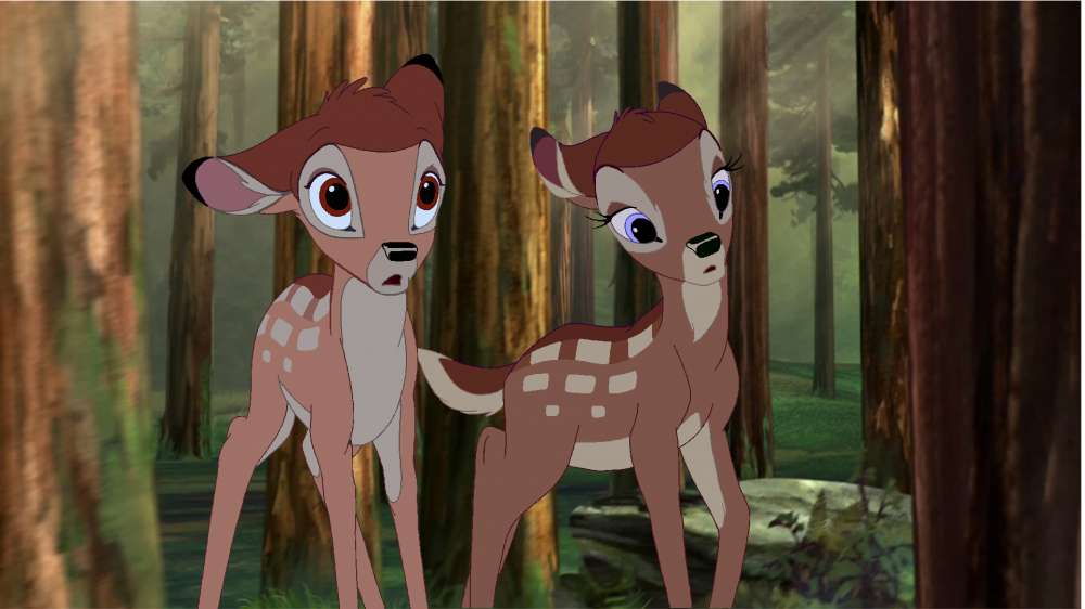 The twins