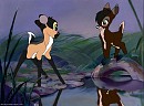 First Meeting