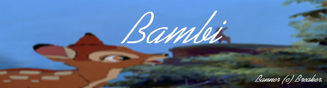 My 1st Banner