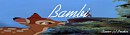 My 1st Banner