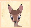 Feline Avatar