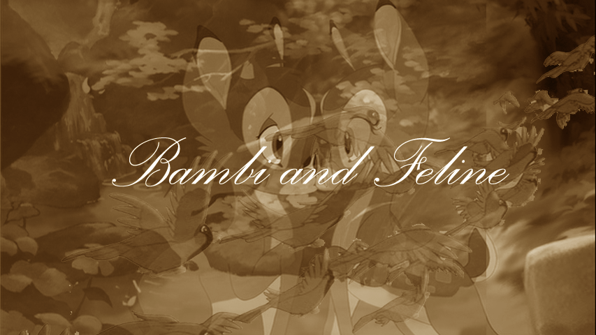 Bambi and Feline