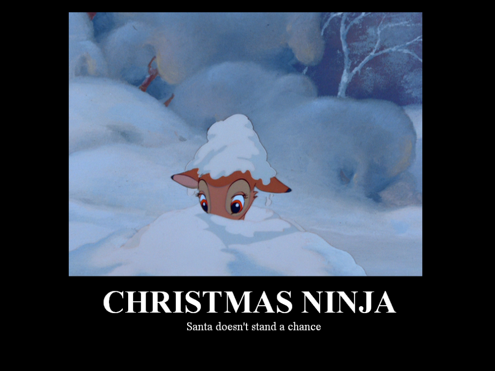 Christmas Ninja
