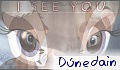 Dúnedain