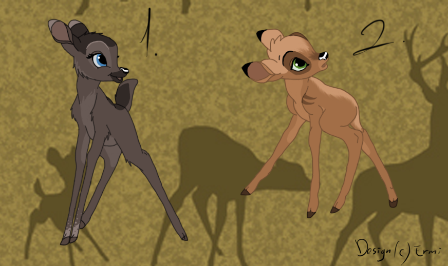 Adoptions (Fermées)