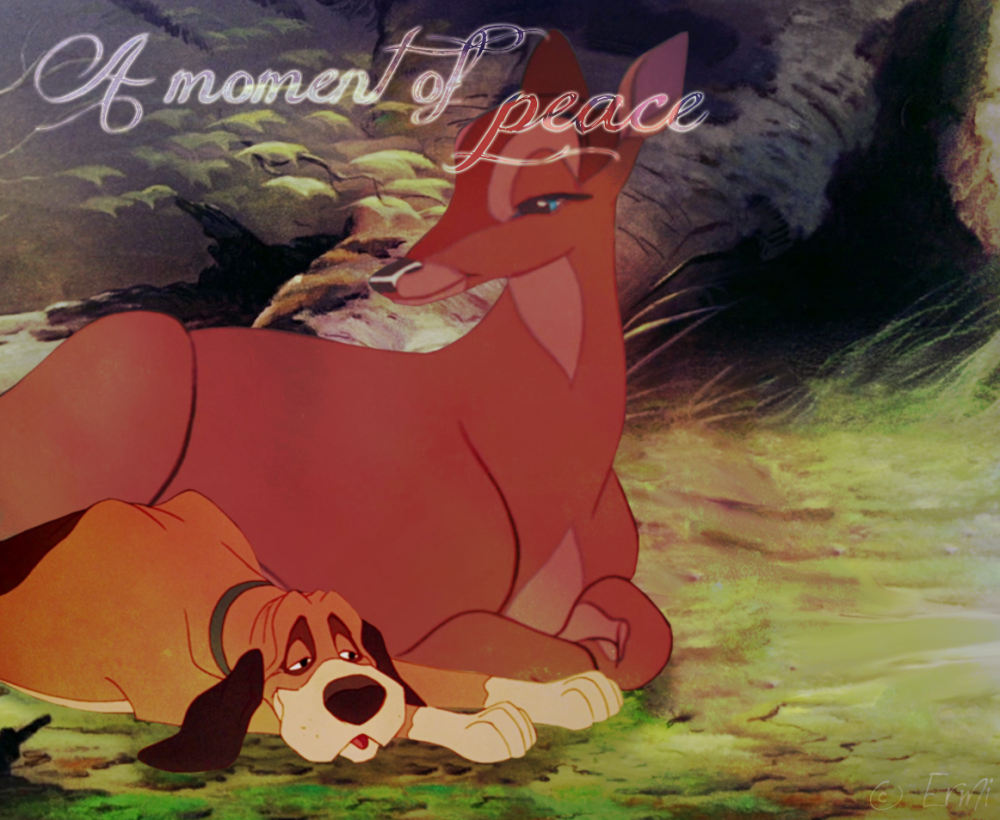 A moment of peace
