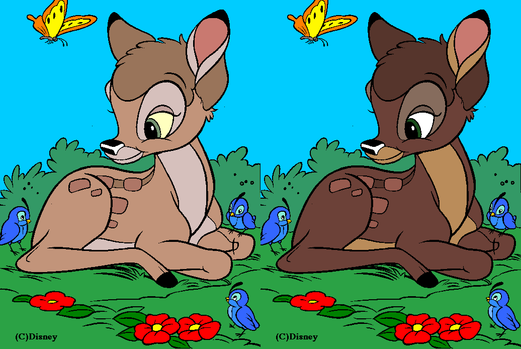 Adoptions