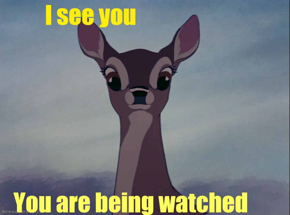 You are bieng watched free avatar