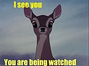 You are bieng watched free avatar