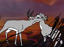 Doe  and Buck  Free Render