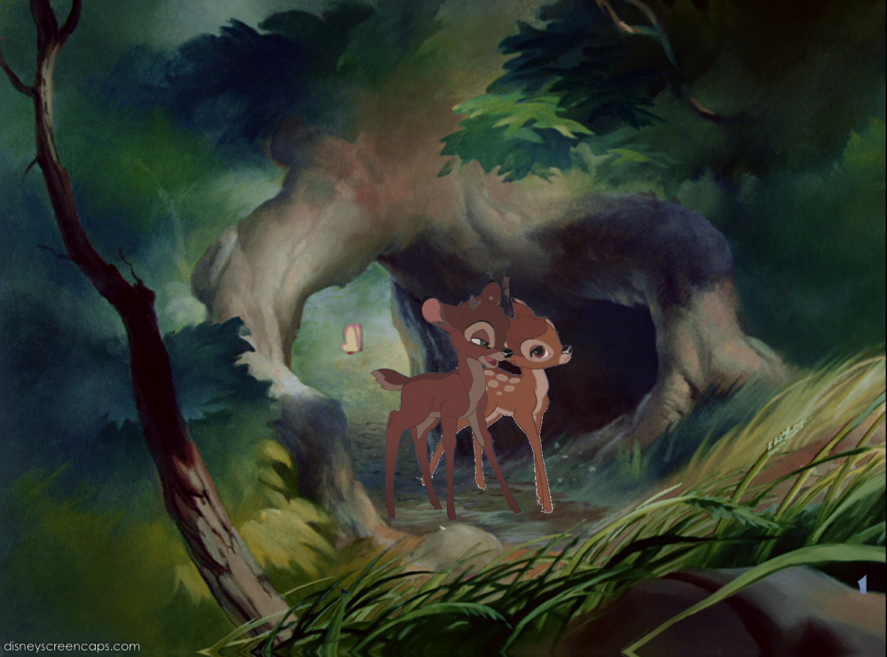 Slice 4: A Walk Through the Woods