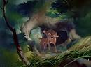 Slice 4: A Walk Through the Woods