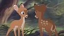 Muntjac doe