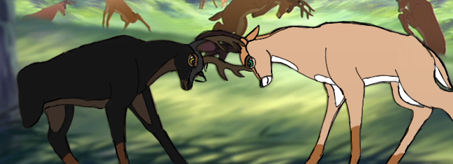 Seige and Korin Fighting