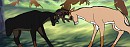 Seige and Korin Fighting