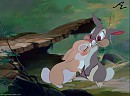 Splice 8 - Thumper and the Doe