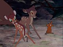 Geno and Gurri's First Steps