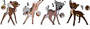 Adoptable Set 2: Multi-breed