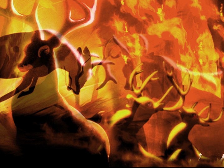 Fire