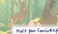 Halt fan (aniu4life)