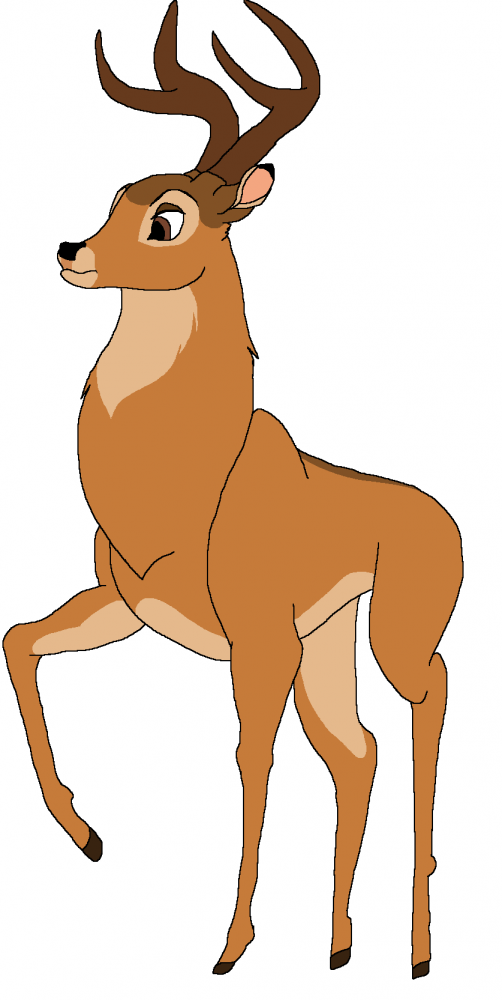 Adult Bambi's life