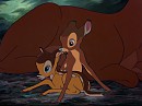la naissance des jumeau prince et princesse
