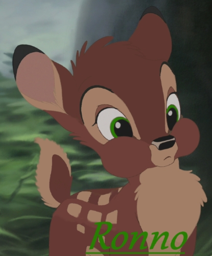 Ronno Bébé