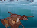bambi et l oiseau