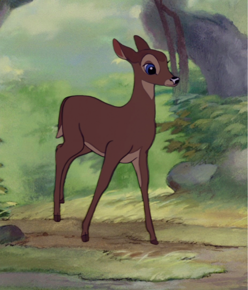 Young adult Gurri