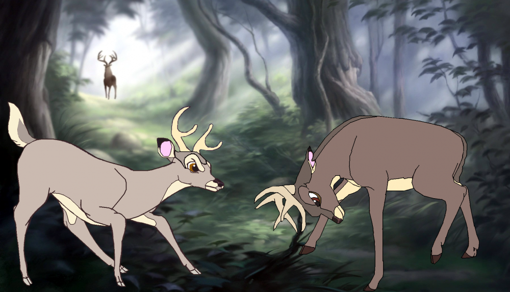 Fighting Bucks Render