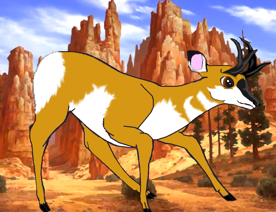Dash the Pronghorn